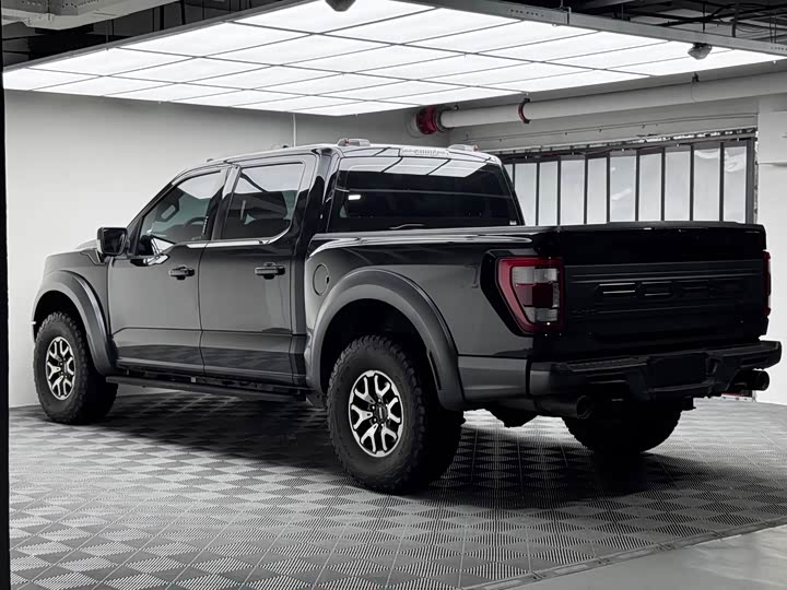 Ford F-150 Raptor, 2023 — фото 7 из 9