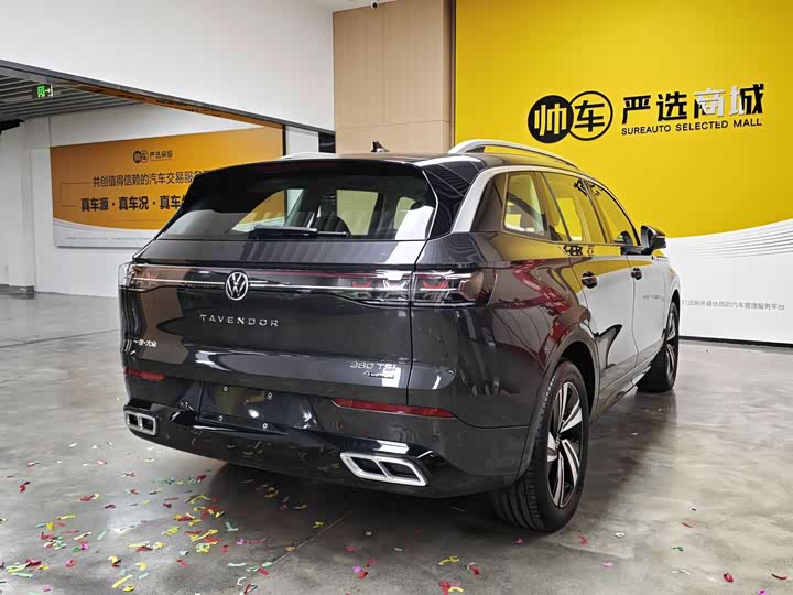 Volkswagen Tavendor, 2023 — фото 6 из 9