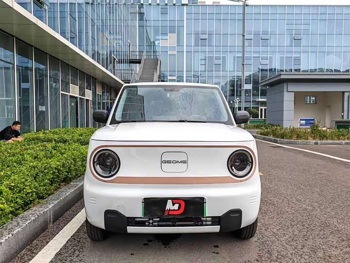 Geely Galaxy Panda Mini, 2025 — фото 2 из 7
