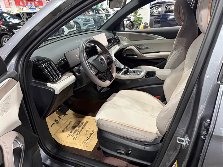 BYD Song Pro Hybrid, 2024 — фото 9 из 9