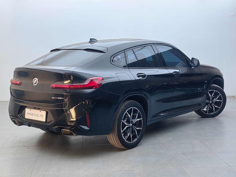 BMW X4, 2023 — фото 5 из 12