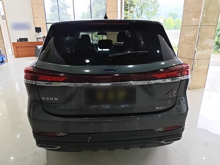 Changan Oshan X7 Plus, 2022 — фото 4 из 9