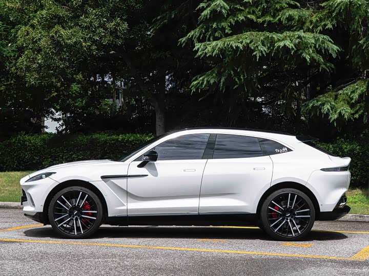 Aston Martin DBX, 2023 — фото 4 из 9