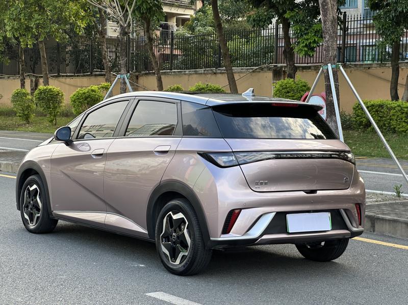BYD Dolphin, 2021 — фото 4 из 12