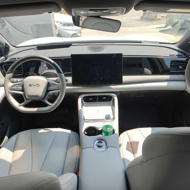 BYD Sea Lion 06 Hybrid/EV, 2025 — фото 6 из 12