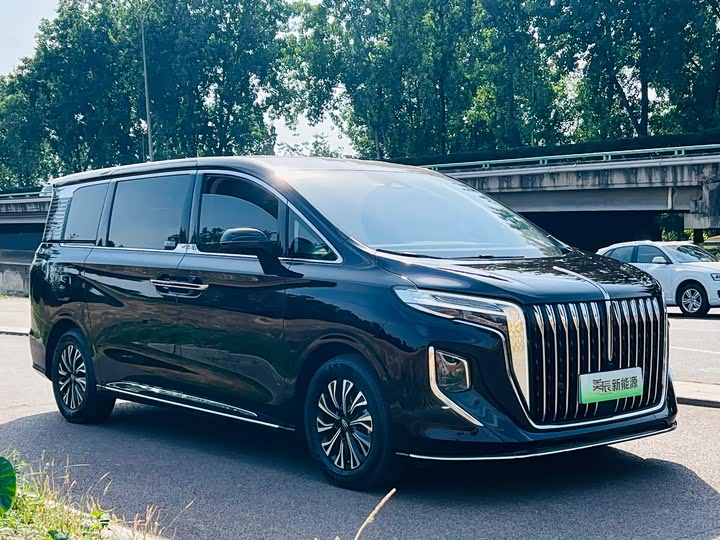Hongqi HQ9 Hybrid, 2023 — фото 3 из 9