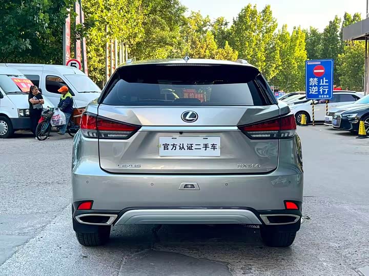 Lexus RX, 2022 — фото 8 из 9