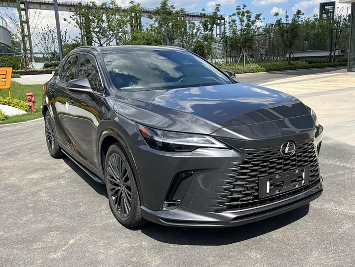 Lexus RX Hybrid, 2023 — фото 3 из 9
