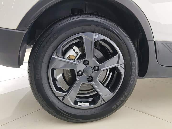 Geely Geometry E Firefly, 2023 — фото 6 из 9
