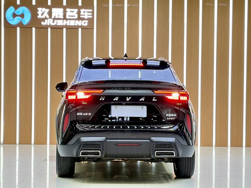 Haval H6S, 2021 — фото 5 из 12