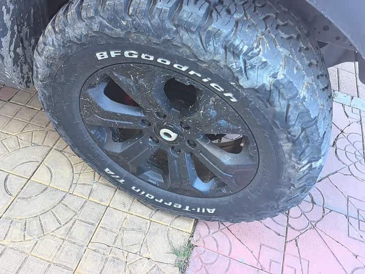 Great Wall Pao, 2022 — фото 6 из 9