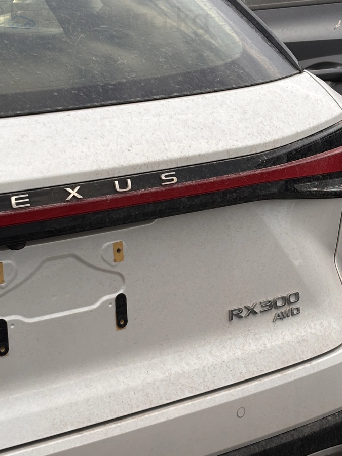 Lexus RX, 2025 — фото 3 из 3
