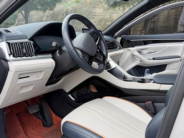 BYD Song Plus Hybrid/EV, 2024 — фото 4 из 9