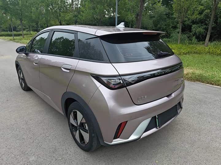 BYD Dolphin, 2023 — фото 5 из 9