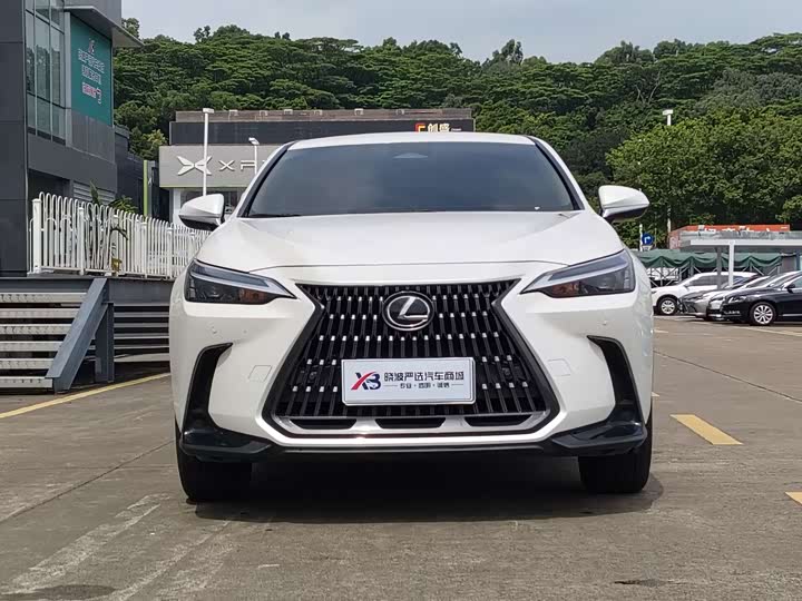 Lexus NX, 2023 — фото 3 из 9