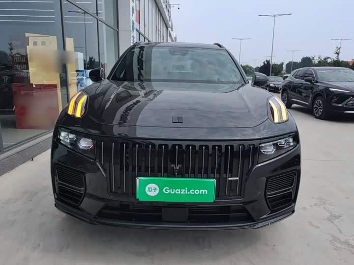 Lynk & Co 09 EM-P Hybrid, 2025 — фото 3 из 9