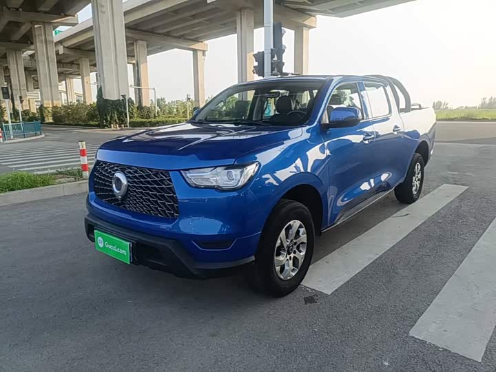 Great Wall Pao, 2021 — купить в Владимире под ключ