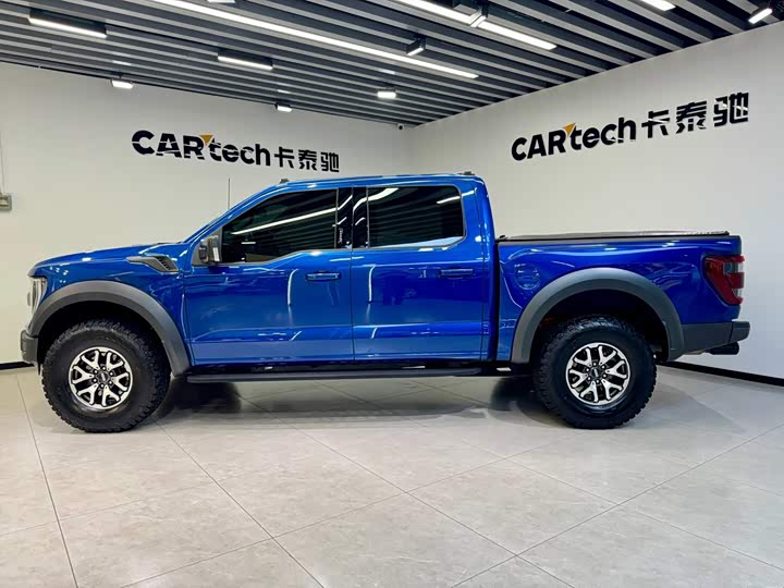 Ford F-150 Raptor, 2023 — фото 8 из 9