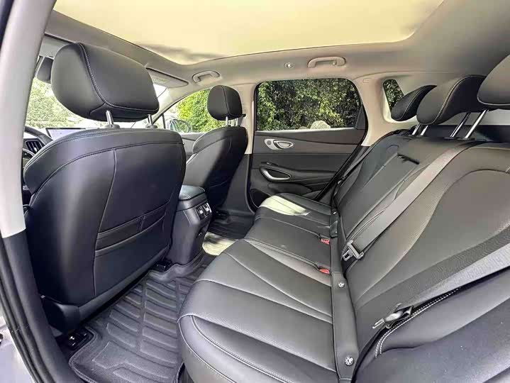 BYD Sea Lion 05 EV, 2025 — фото 8 из 9
