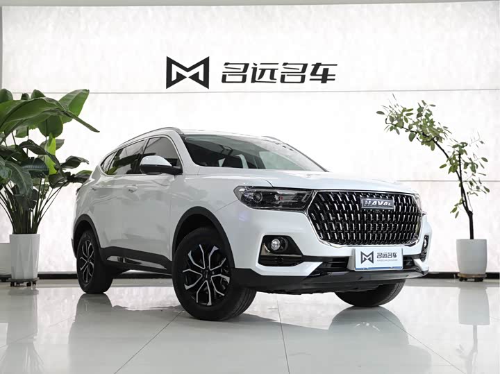 Haval H6, 2023 — фото 3 из 9