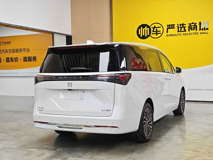 Buick GL8 Hybrid, 2025 — фото 6 из 9