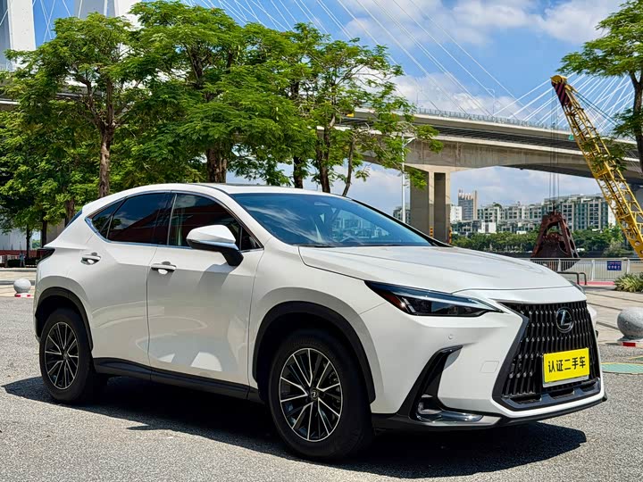 Lexus NX, 2024 — фото 7 из 9