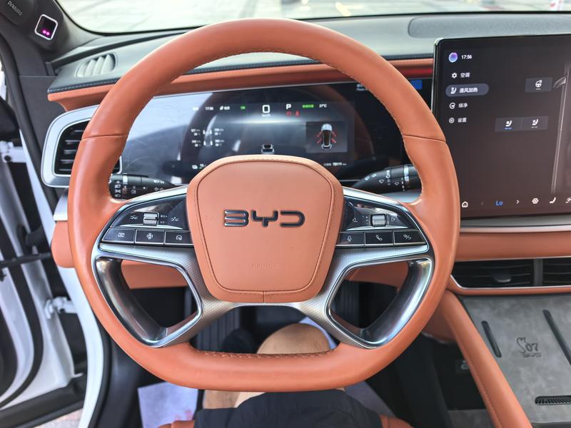BYD Sea Lion 07 EV, 2024 — фото 10 из 12