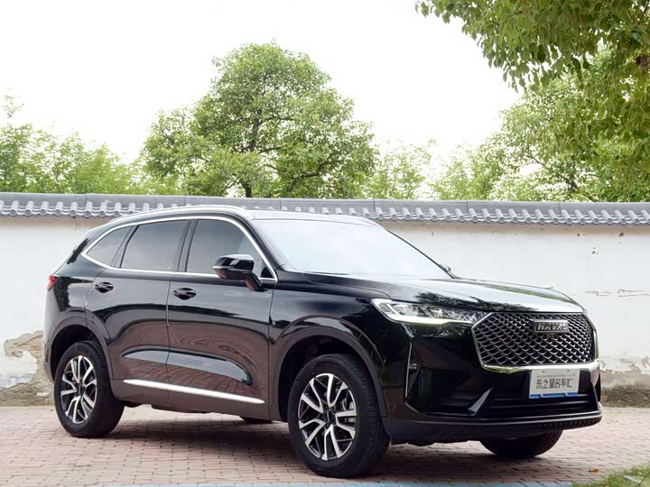Haval H6, 2022 — фото 3 из 9