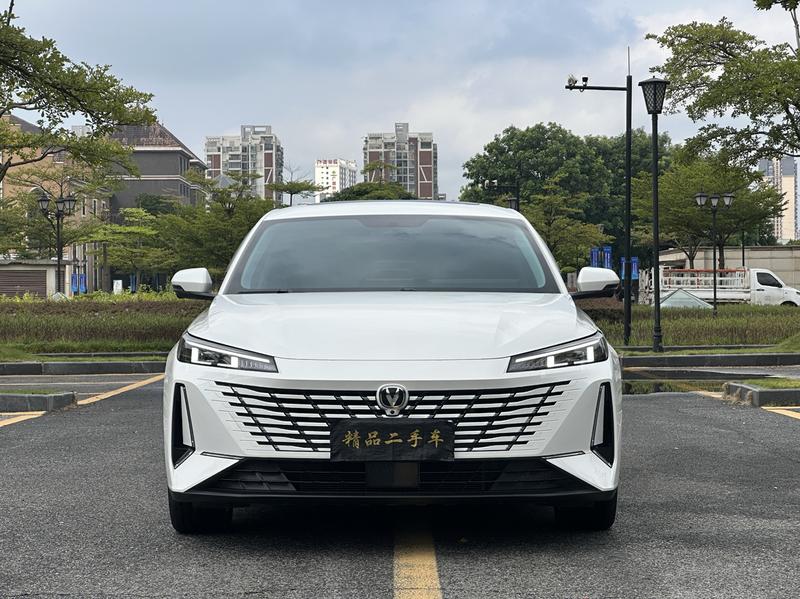 Changan Eado Plus, 2024 — фото 2 из 12