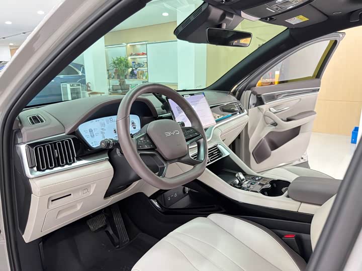 BYD Song Plus Hybrid/EV, 2025 — фото 4 из 9