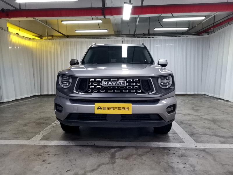 Haval H-Dog, 2023 — фото 2 из 12