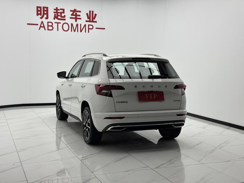 Skoda Karoq, 2023 — фото 4 из 12