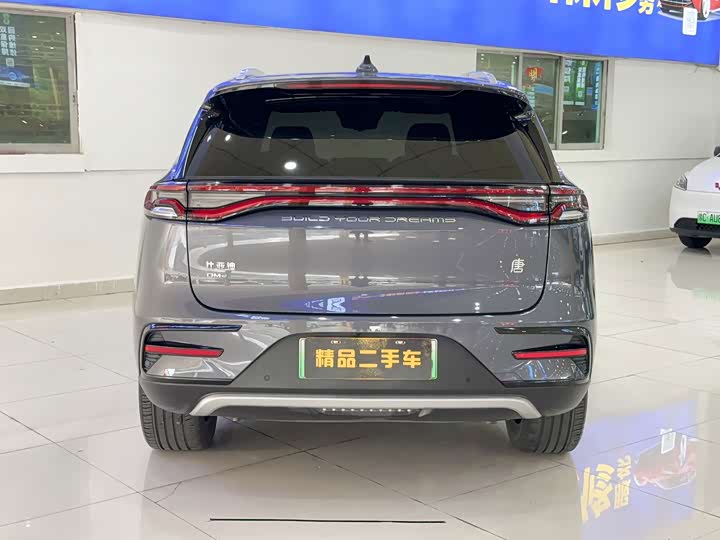 BYD Tang Hybrid/EV, 2023 — фото 5 из 9