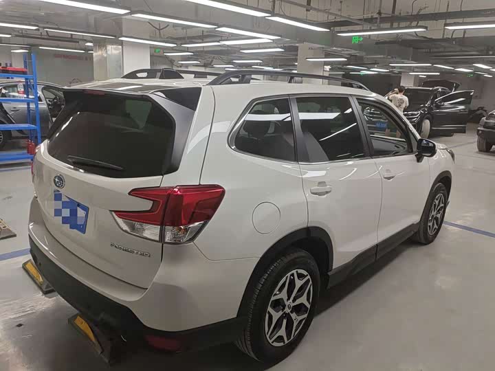 Subaru Forester, 2024 — фото 3 из 9