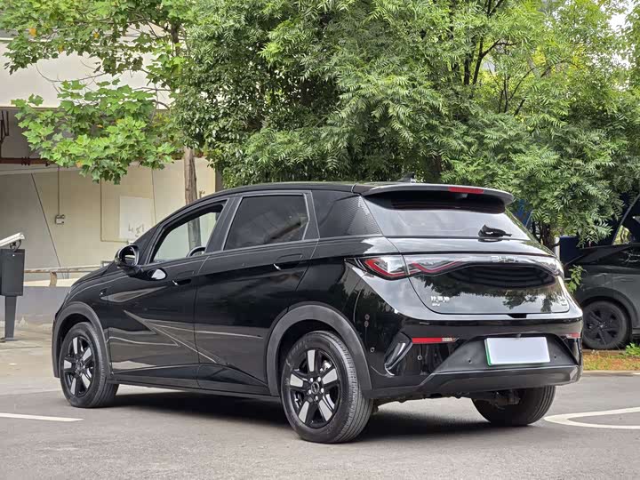 BYD Dolphin, 2025 — фото 4 из 9