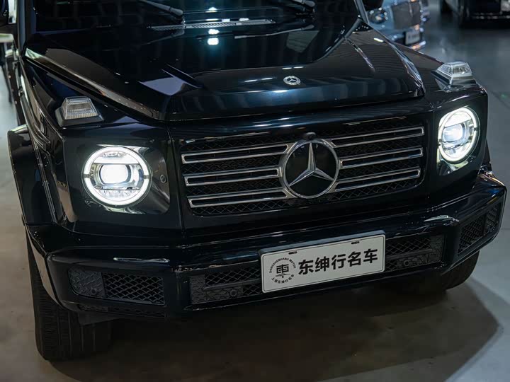 Mercedes-Benz G-Class, 2021 — фото 5 из 9