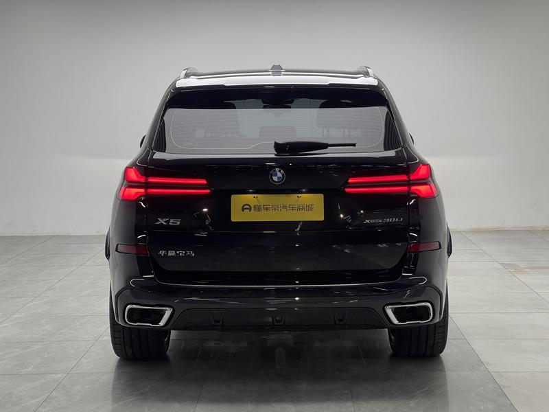 BMW X5, 2025 — фото 6 из 12