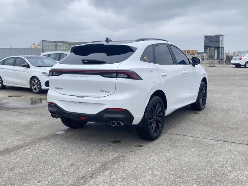 Dongfeng Forthing T5 EVO, 2022 — фото 5 из 9