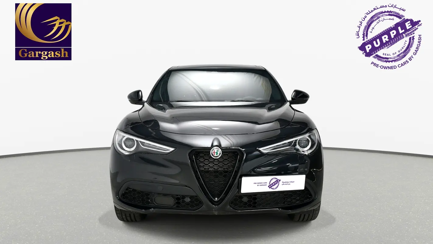 Alfa Romeo Stelvio, 2023 — фото 2 из 10