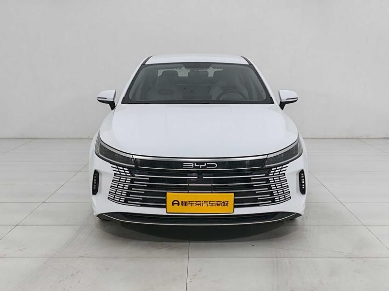 BYD Destroyer 05, 2024 — фото 2 из 12