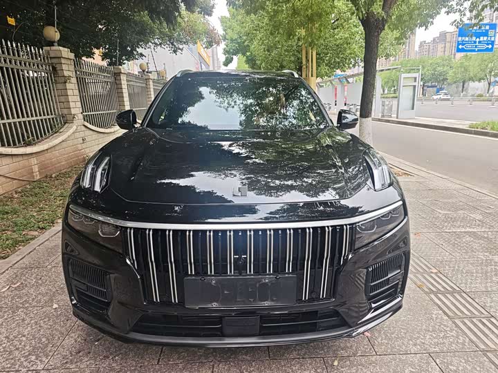 Lynk & Co 09 EM-P Hybrid, 2023 — фото 2 из 9