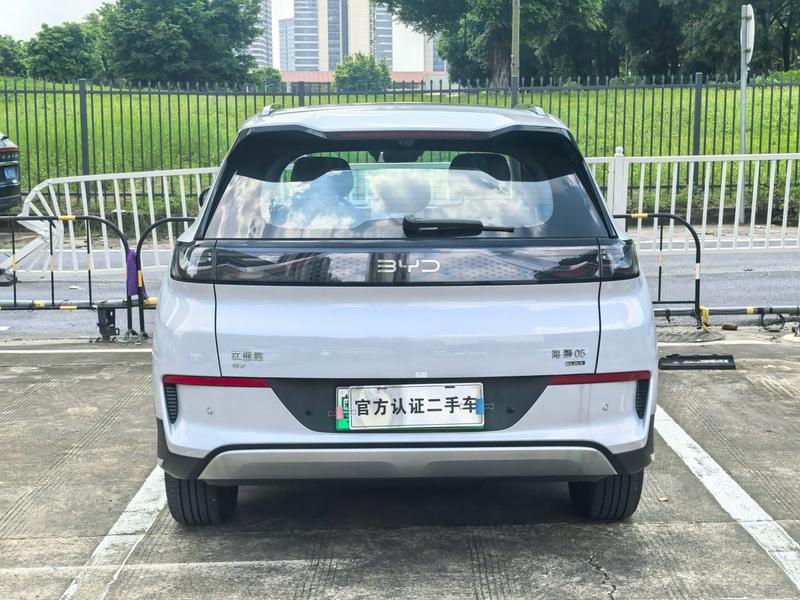 BYD Sea Lion 05 EV, 2025 — фото 5 из 12