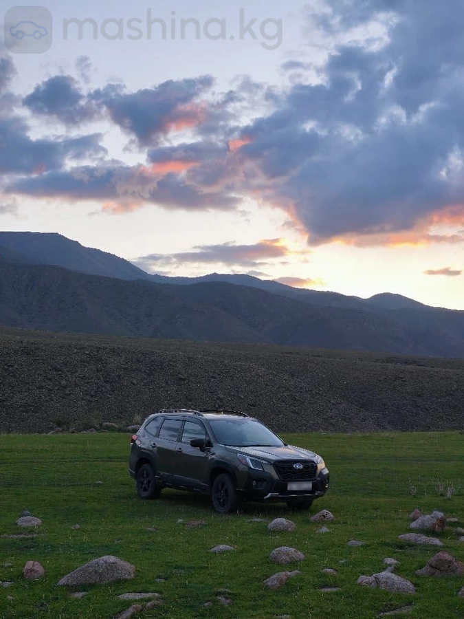 Subaru Forester, 2022 — фото 8 из 9