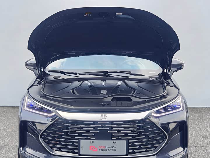 BYD Tang Hybrid/EV, 2024 — фото 6 из 9