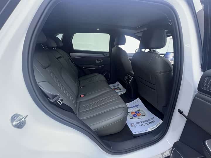 BYD Song L DM-i Hybrid, 2024 — фото 9 из 9