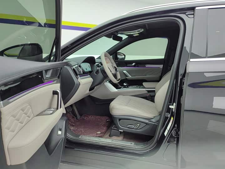 BYD Tang Hybrid/EV, 2024 — фото 9 из 9