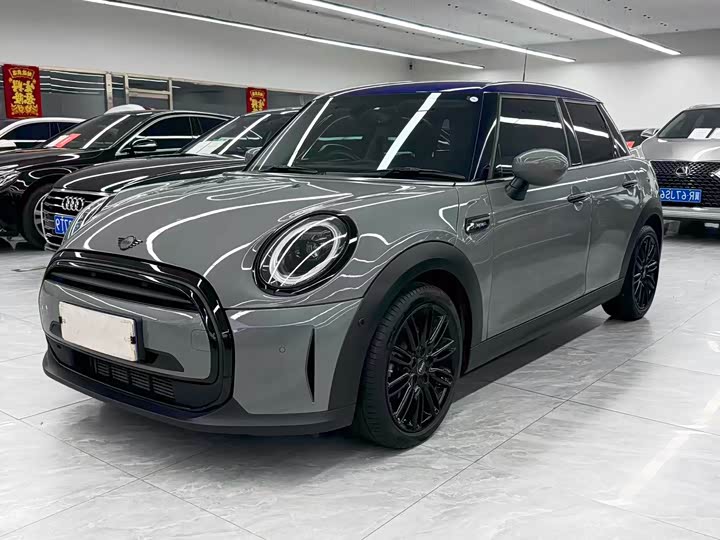 Mini Mini, 2022 — купить в Рязани под ключ