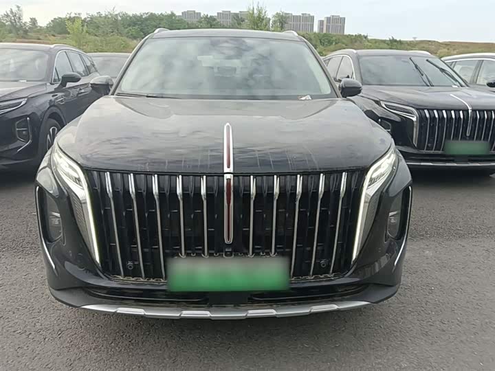 Hongqi HS7 Hybrid, 2024 — фото 3 из 9