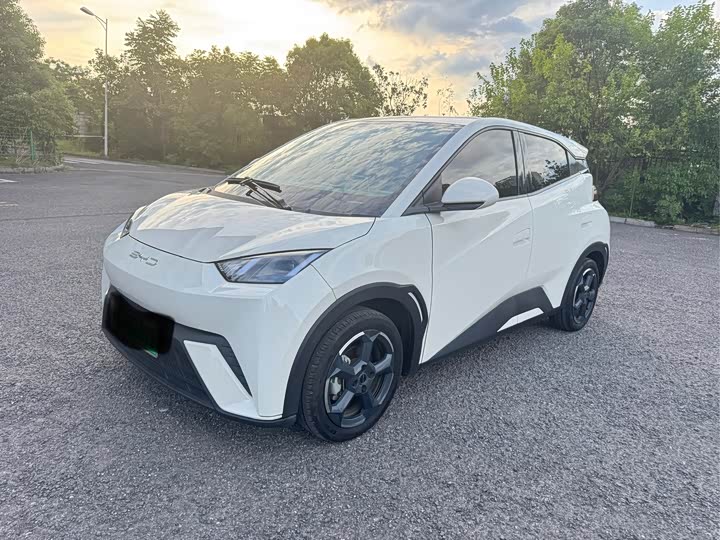 BYD Seagull, 2023 — купить в Рязани под ключ