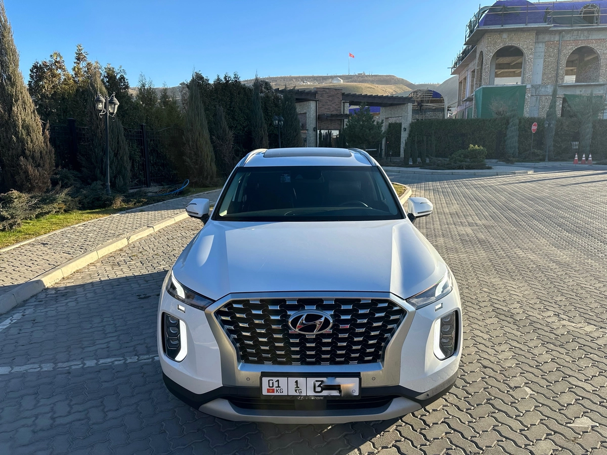 Hyundai Palisade, 2021 — фото 2 из 12
